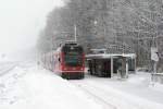 ASm: Aufnahmen dieser Art waren während dem diesjährigen Winter in der Region Solothurn nur an wenigen Tagen möglich.