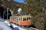 Der Be 4/4 31 der BLM zwischen Grütschalp und Winteregg. 27.1.2024