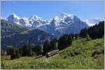 Der Be 4/4 Nr.31 auf der Fahrt von Mürren nach Gütschalp.
(28.08.2014)