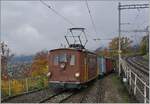 Die Berner Oberland Bahn (BOB) HGe 3/3 29 zeigt sich mit ihrem gemischten Zug im bereits recht herbstlichen Chamby. 

24. Oktober 2020