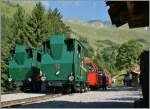 Meinst kreuzen sich die BRB Zge in Geldried oder Obere Stafel. 
Die Zge 5 (Bergwrts) und 4 (talwrst) hingegen kreuzen sich auf der Planalp.
30 August 2013 