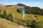 Bahnbildergipfeltreffen in Brienz. Lok 14 hat mit den SIG-Vorstellwagen soeben die Station Planalp verlassen und gibt Volldampf Richtung Rothorn Kulm. Aufnahme vom 28. Sept. 2013, 13:32