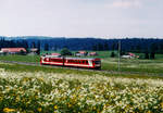 CJ: Frühlingsidylle auf der CJ im April 2002 mit einem BDe 4/4 II - Pendelzug auf der Fahrt von Le Noirmont nach Tavannes.
Foto: Walter Ruetsch