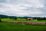 Chemins de fer du jura chant du gros 2019-> Photo prise le 6 septembre 2019