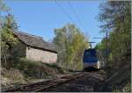 Ein SSIF ABe 12/16 (ABe/P/Be/Be)  Treno Panoramico Vigezzo Vison  auf der Fahrt von Domodossola nach Locarno zwischen Verigo und Marone.