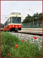 Be 8/8 26 beim Verlassen des Zumiker Tunnels bei Neue Forch.