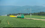 BFS-Fotofahrt auf der BAM mit Be 4/4 14 und Bt 53 am 6.