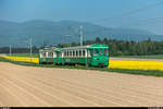 BFS-Fotofahrt auf der BAM mit Be 4/4 14 und Bt 53 am 6.