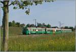 Der BAM Regionalzug 111 von Bière nach Morges kurz vor Chigny.