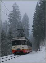 Und weiter geht die Fahrt durch den Winterwald Richtung Les Brents.