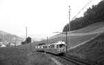 VBW Vereinigte Bern-Worb-Bahnen__Zug mit ex Pforzheimer Bw und Steuerwagen auf freier Strecke.__27-08-1976