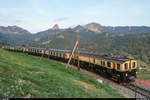 Reconstitution du Golden Mountain Pullman Express: Am 8. September 2017 wurde zu einer speziellen Fotofahrt eingeladen. Der FZe 6/6 2002 der Chemin de fer-musée Blonay-Chamby sollte mit den GoldenPass Classic Wagen der MOB zusammengebracht werden und so den legendären Golden Mountain Pullman Express aus den Jahren 1931/32 nachstellen, welchem aufgrund der Weltwirtschaftskrise leider kein Erfolg beschieden war. Da die Wagen in nächster Zeit auf die neue automatische Kupplung umgebaut werden, war dies die letzte Gelgegenheit für ein solches Zusammentreffen. <br>
Da der FZe 6/6 2002 aufgrund seines Zustands derzeit nicht für lange Fahrten gebraucht werden kann und weil die Wagen tagsüber im Einsatz stehen, wurde am Freitagabend eine kurze Fahrt von Sendy-Sollard nach Chamby durchgeführt. Die Wagen wurden vorher mit den Fotografen von der GDe 4/4 6001 von Montreux nach Sendy-Sollard gebracht (wobei die Fotografen kurz vorher an der Fotostelle ausgeladen wurden) und am Ende in Chamby wieder abgeholt für die Rückfahrt nach Montreux. <br>
Der Fotozug im letzten Holzmastenabschnitt auf der MOB unterhalb von Sendy-Sollard. In der Kurve gab es noch etwas Abendsonne. Im Hintergrund der Dent de Jaman und der Rochers-de-Naye.