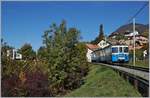 Der MOB ABDe 8/8 4002 VAUD ist als Regionalzug 2331 von Chernex nach Montreux kurz nach Planchamp unterwegs. 
6. Nov. 2018