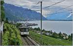 Der MOB  Be 4/4 1006 als Regionalzug 2330 Montreux - Fontanivent oberhalb von Montreux kurz vor dem Erreichen der Haltestelle Châtelard VD.