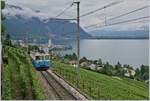 Der MOB ABDe 8/8 4002 VAUD auf dem Weg nach Chernex oberhalb von Montreux kurz vor Châtelard VD. 

19. August 2019