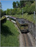 Die auf den ersten Blick so reizvolle Fotostelle bei der 240° Kehre der MOB Strecke bei Sonzier hat, wenn es dann ums Fotografieren geht, doch so ihre Tücken...
Deshalb nochmals die MOB GDe 4/4 6003  Train du Chocolat  mit ihrem PE 2115 von Zweisimmen nach Montreux  bei Sonzier, diesmal in Hochformat.

7. Mai 2020