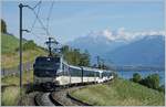 Die MOB Ge 4/4 8004 ist mit ihrem MOB GoldenPass Panoramic PE 2234 auf dem Weg von Montreux nach Zweisimmen und erreicht in Kürze Planchamp.