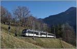 Kurz vor Les Sciernes ist ein MOB Alpina Regionalzug auf dem Weg nach Montreux.