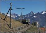 Zwischen Sendy-Sollard und Chamby fährt die MOB GDe 4/4 6003 mit dem Golden Pass Classic in Richtung Montreux.