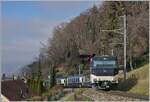 Kurz vor Chernex ist die MOB Ge 4/4 8004 mit dem GoldenPass Express GPX 4065 von Interlaken Ost nach Montreux unterwegs.