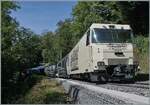 Das diesj�hrige Thema der Blonay Chamby Bahn   L'aventure ferroviaire de l'Oberland Bernois  /  Das Bahnabenteuer des Berner Oberlands  d�rfte auch mit dem Jubil�um 125 MOB zusammen h�ngen. 

Kurz vor Chamby verk�ndet die MOB Werbelok Ge 4/4 8002  125 Jahre MOB . Die MOB Ge 4/4 8002 ist mit dem GoldenPass Express PE 4069 auf dem Weg nach Montreux.

5. September 2026