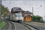 Die MOB Ge 4/4 8002 '125 Jahre MOB' f�hrt mit ihrem GoldenPass Express GEX 4078 auf Gleis 1 durch den Bahnhof von Chamby. Der Zug ist auf dem weg von Montreux nach Interlaken West. 
Fotostandpunkt: Bahnsteig in Chamby.

25. Oktober 2026