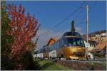 Noch 2.6 Kilometer, dann ist der Golden Pass Panoramic Express 2119 von Zweisimmen kommend an seinem Ziel in Montreux.