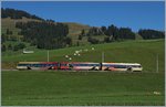 Ziegen und Kühe zeigen sich von den durch die Landschaft ziehenden Bären unbeeindruckt - ein MOB Be 4/4 als Regionalzug 2418 von Rougemont nach Lenk im Simmental kurz vor Schönried.