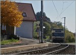 Nachdem ich nun witterungsbedingt in en letzten Tagen fleissig zwischen Winter und Sommer hin und her gependelt bin, ist es höchste Zeit sich um den Herbst zu kümmern, auch wenn ich dazu