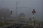 Da zwischenzeitlich der Nebel verschwand, wartete ich auf weitere Züge, doch eine nächste dicke Nebelwand verbarg das Licht und bescherte trübe Aussichten auf den MOB Panoramic Express