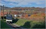 Der CEV MVR ABeh 2/6 7504  VEVEY  ist als Regionalzug 1332 von Blonay nach Vevey in den Rebbergen oberhalb von Vevey zwischen Clies und Gilamont unterwegs.