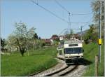 Schön war der Sommer, denn heute schon sorgte Nebel für eine melancholische Herbststimmung, deshalb noch ein blühender Rückblick auf den Frühling 2011: 
CEV GTW 2/6 nach Blonay kurz nach dem Halt in St-Légier Gare am 10. April 2011.