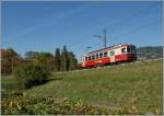 CEV BDeh 2/4 N§ 73 als Regionalzug 1321 kurz vor der Haltestelle Château d'Hauteville.
18. Oktober 2011