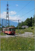 Ein bekanntes Sujet mit neuen  Zutaten : links statt  nur  einem BDhe 2/4 schiebt dieser eine Bt Richtung Les Pleiades und ganz rechts im bild ist ein kleiner Esel zu erkennen.