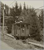 Da beim Jubiläum 125 Rochers de Naye Bahn die HGe 2/2 N° 2 werde bewegt noch den Stromabnehmer heben durfte, suchte ich nach einem Bild als  die Lok noch im Einsatz war und fand dieses hier als die HGe 2/2 N°2 unterhalb von Crêt-d'y-Bau am 31. August 2012 unterwegs war.