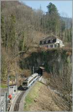 Ein Rochers de Naye Zug auf Talfahrt bei Toveyre.