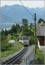 Steil ist die Strecke auf den Rochers de Naye, hier zahnt der Beh 4/8 305 gerade bei Haut-de-Caux vorbei.