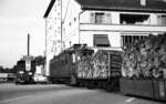 NStCM__Tw 3 von 1924 mit schwerer Holz-Fracht in Nyon.__01-09-1976