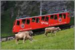 Wagen 26 auf Bergfahrt auf der Alp Matt.