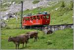 Wagen 26 auf Bergfahrt auf der Alp Matt.