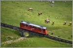 Dieser Wagen auf der Alp Matt ist auf Talfahrt, daran zu erkennen, dass die Wagen der Pilatusbahn mit gesenkten Stromabnehmern verkehren. (03.07.2014)