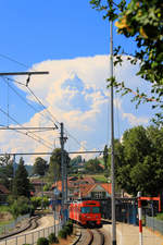 Alles strebt in die Vertikale -  Mandarinli  59 in der Station Boll-Utzigen. 22.August 2018 