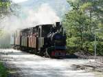 SchBB - Dampflok Pinus unterwegs bei Bahnjubilum 30 Jahre SchBB = Schinznacher Baumschulbahn am 27.04.2008