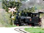 SchBB - Dampflok Pinus unterwegs im Betriebsareal bei der SchBB = Schinznacher Baumschulbahn am 27.04.2008 ....