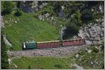 Lok 12 mit den Sommerwagen auf Bergfahrt an der Stepfegg.