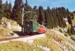 Auf der Alp Bigelti hat dieser Zug der Schynige-Platte-Bahn soeben den Grtlitunnel verlassen und tuckert weiter der Bergstation entgegen.