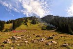 Schynige Platte Bahn: Lok 13 mit den Wagen 47 und 48 im Aufstieg durch besonders lawinengefährdete Hänge auf die Schynige Platte. 3.September 2016. 