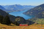 Schynige Platte Bahn: Zug mit Lok 16 und den Wagen 49 und 50 im Aufstieg oberhalb Breitlauenen, mit Blick auf den Thunersee.