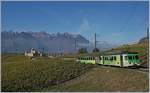 Der Klassiker: ASD mit dem Château d'Aigle, neuerdings mit dem Vorsignal von Aigle Dépôt. Der ASD BDe 4/4 ist mit dem Bt 434 als Regionalzug 430 von Les Diablerets nach Aigle unterwegs. 
26. Oktober 2018