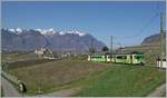 Die beiden TPC / ASD BDe 4/4 401 und 402 sind als Regionalzug 440 von Aigle nach Les Diablerets unterwegs und fahren in weiten Kurven durch die Rebberge oberhalb von Aigle, im Hintergrund ist das Schloss von Aigle zu erkennen. 

30 März 2021